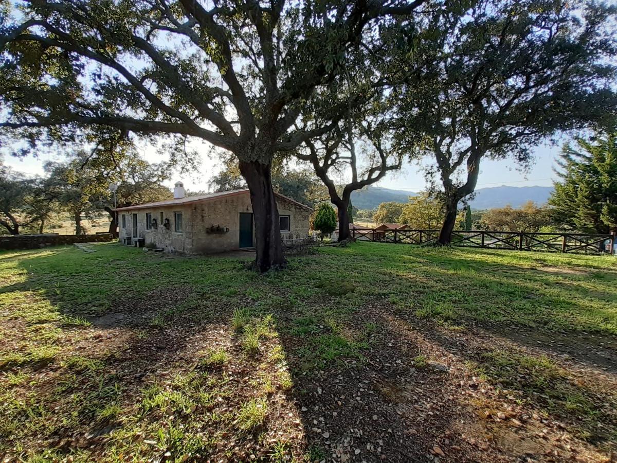 Casa Da Vinha Holiday home Castelo Novo