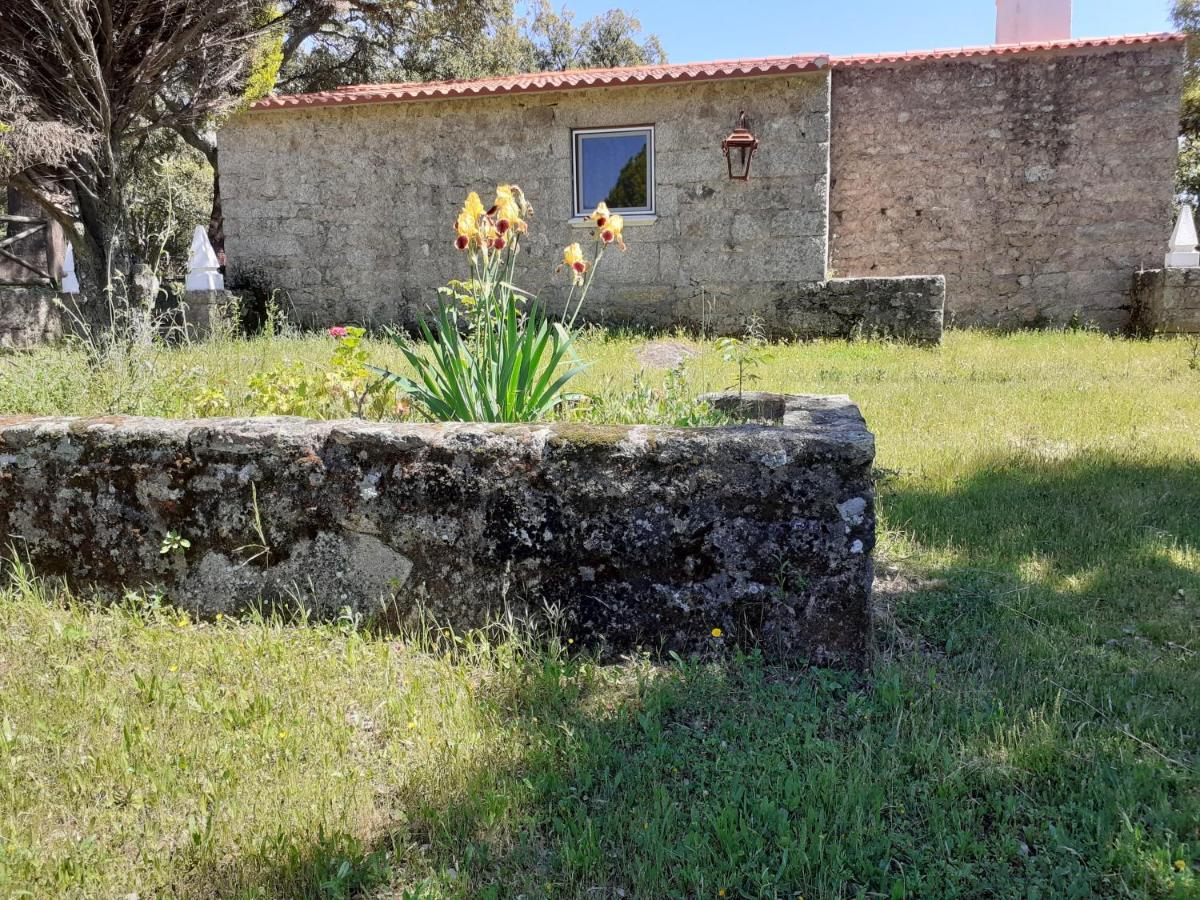Casa Da Vinha
