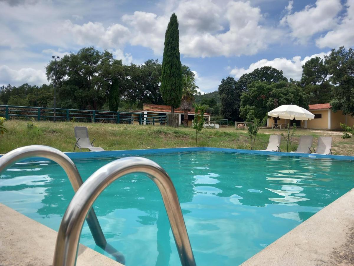 Holiday home Casa Da Vinha