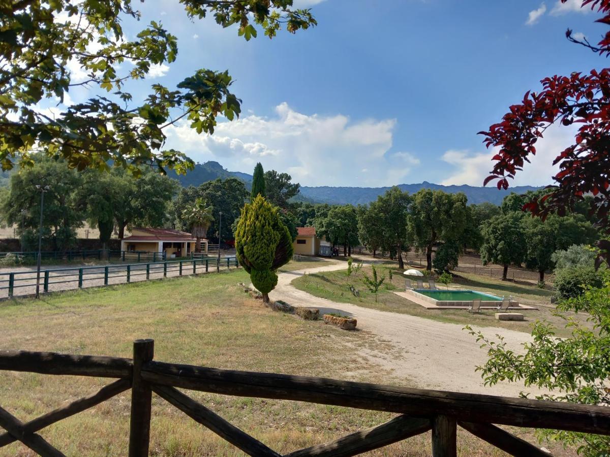 Casa Da Vinha * Castelo Novo