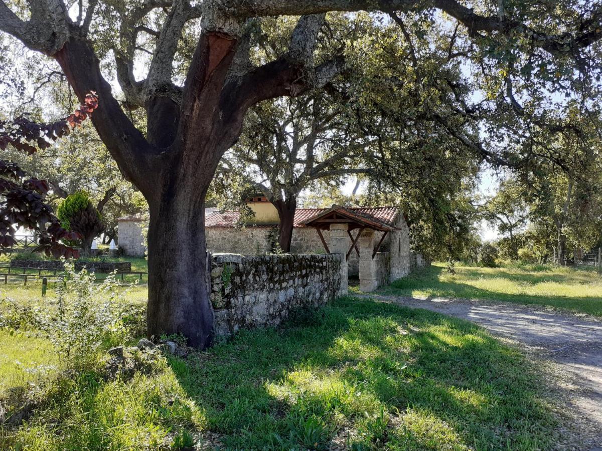 Casa Da Vinha Holiday home *