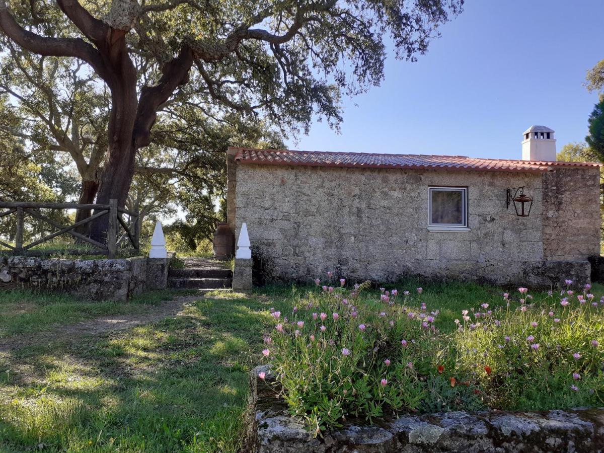 Casa Da Vinha Holiday home Castelo Novo