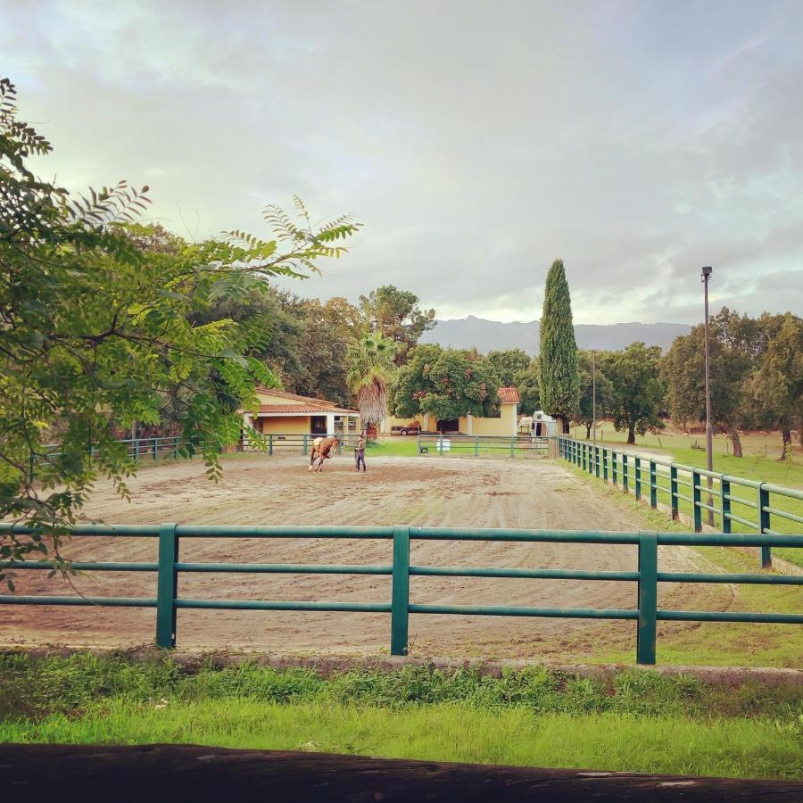 Casa Da Vinha Holiday home Castelo Novo