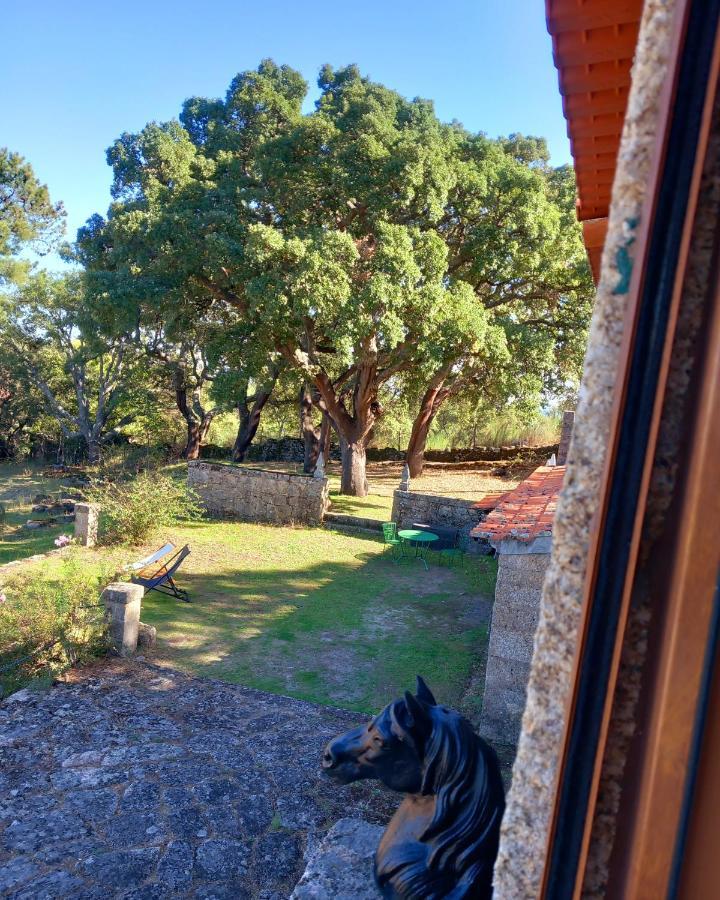 Casa Da Vinha * Castelo Novo