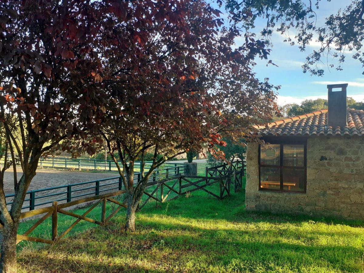Casa Da Vinha *