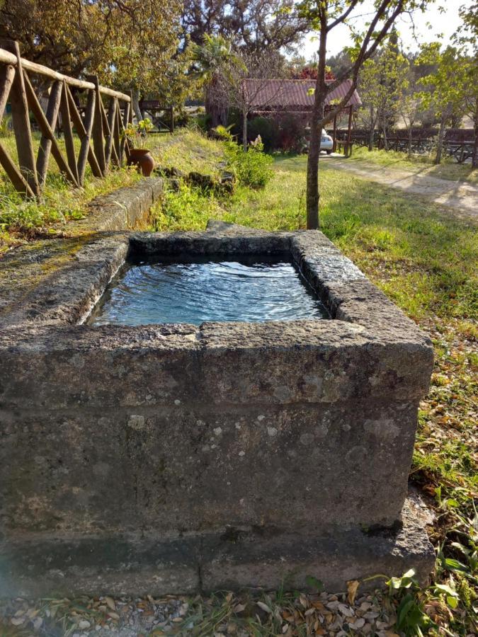Casa Da Vinha